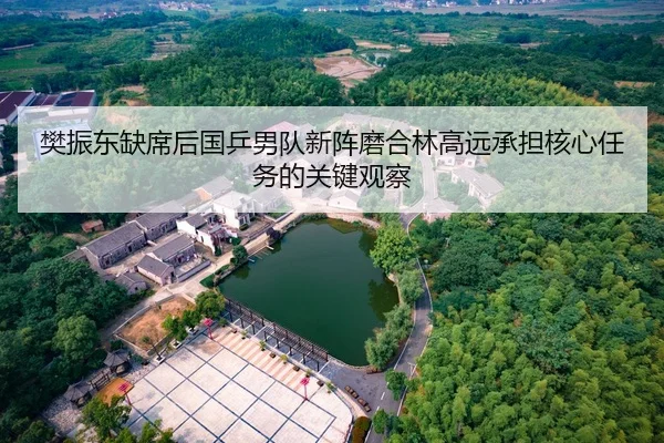樊振东缺席后国乒男队新阵磨合林高远承担核心任务的关键观察
